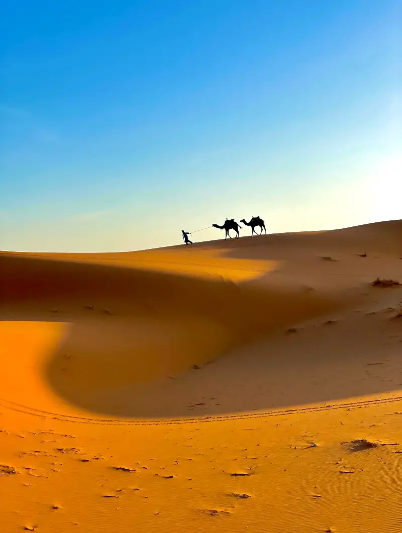 Sahara Desert (Morocco) Travel Guide - Amazing Overnight Tour