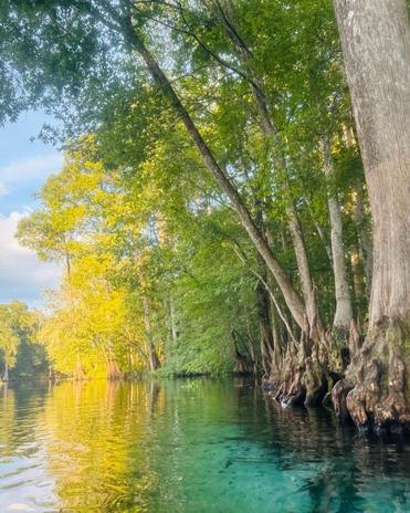A Slice of Pure Florida, Ginnie Springs Outdoors